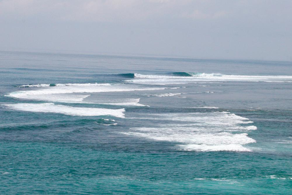 Hyatt Reef